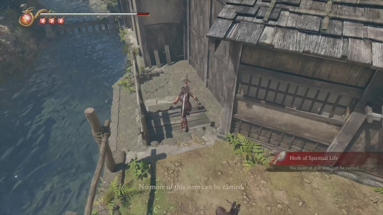 Ninja Gaiden 2 Black PARTE =_28