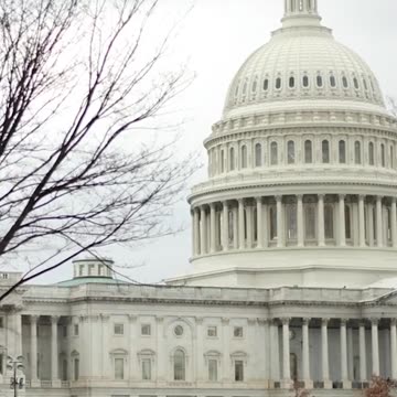 Gun Control Laws Do Not Reduce Crime