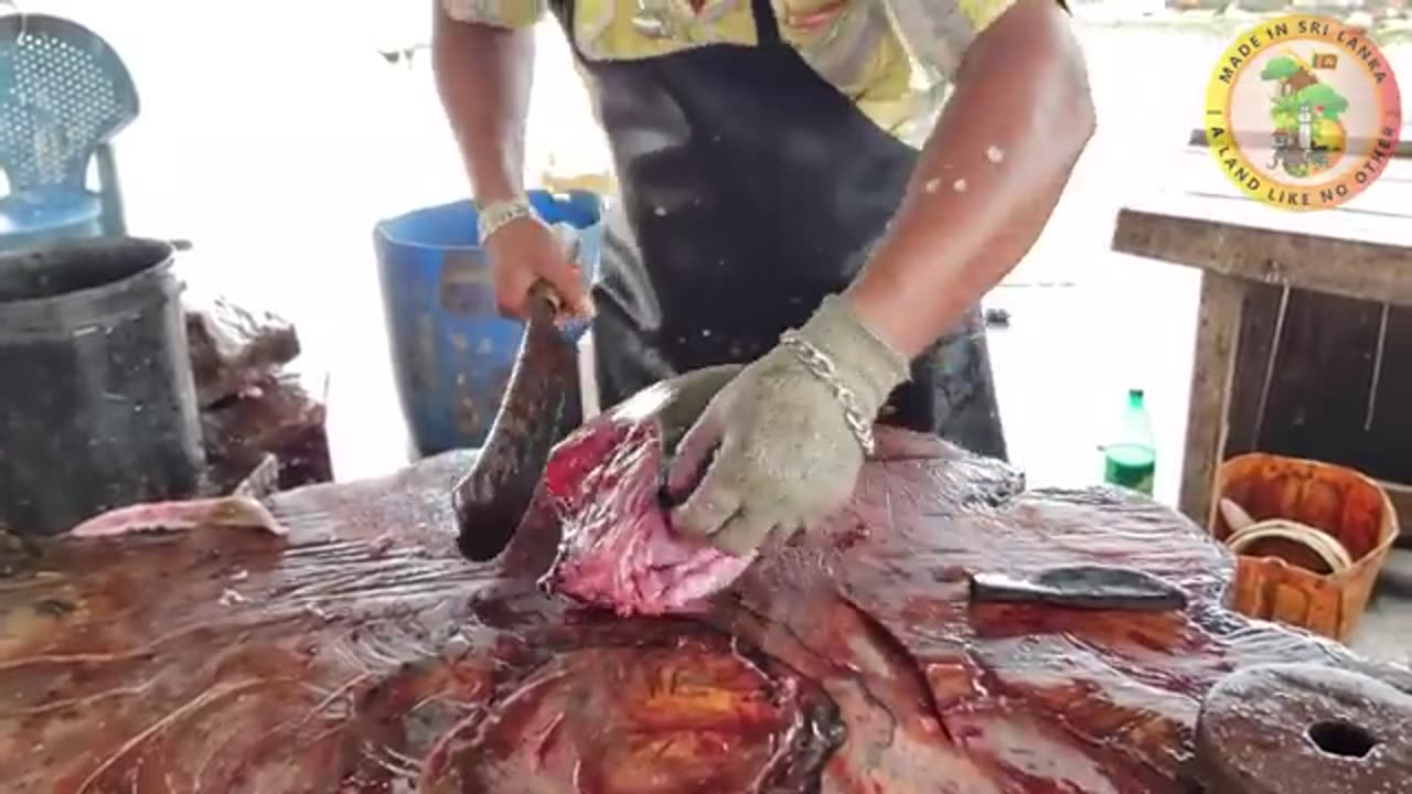 Beautiful Fresh Tuna Fish Cutting _ Fish Cutting Skills Sri Lanka