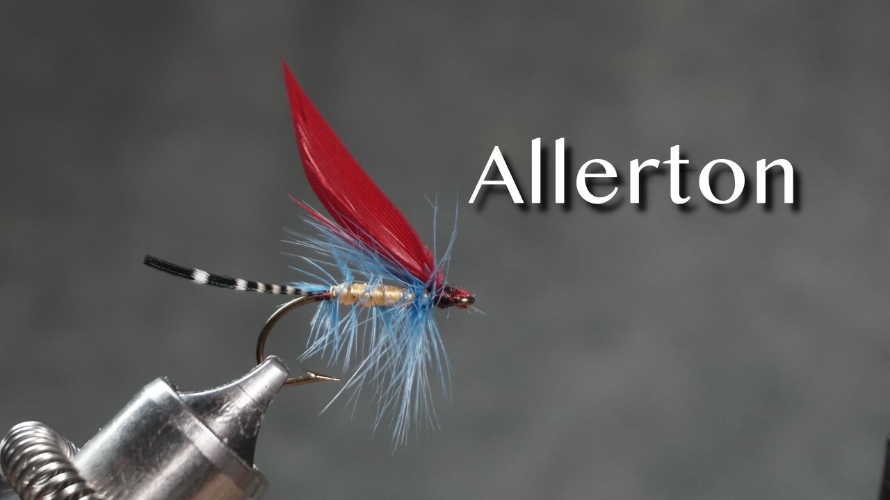 Allerton: a trout fly pattern from Favorite Flies and Their Histories (1892) by Mary Orvis Marbury