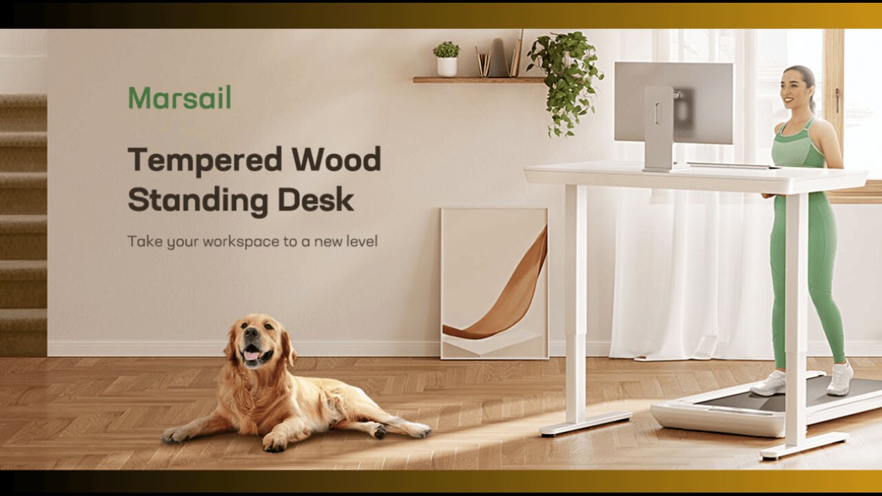 Marsail Standing Desk with Drawer, 48 x 24 inch Whole Piece Tabletop Electric Standing Desk