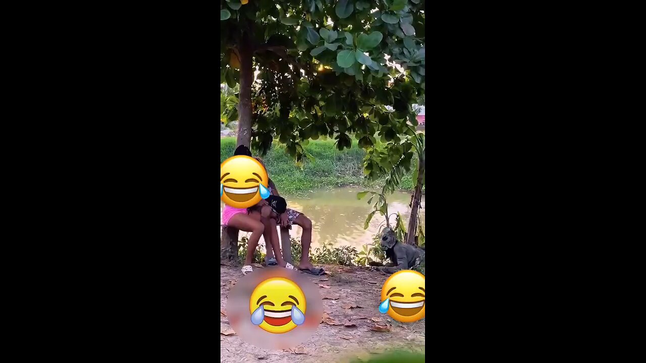 funny video
