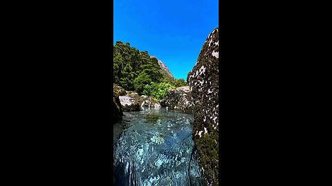 Nature beauty! 🏞️🌳☀️ #Nature #Beauty #Landscape #Scenery #Outdoors