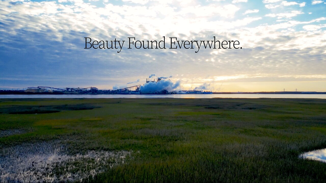 Beauty Found Everywhere