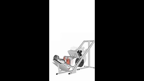 Leg Press Exercise