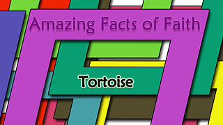 Amazing Facts Of Faith ~ Tortoise