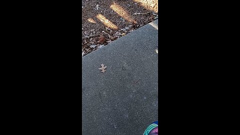 Telling beautiful nature