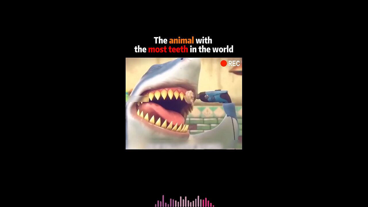 The animal with the most teeth in the world.....