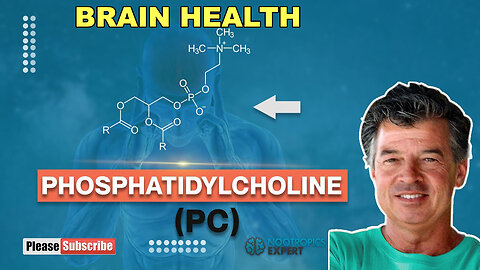 Phosphatidylcholine - Brain Health