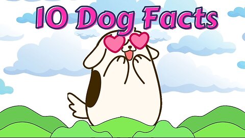 10 Dog Facts for Kids