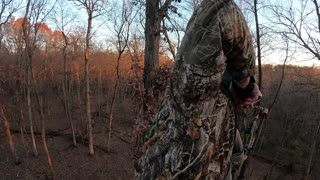 Iowa bowhunt 8 point Buck down