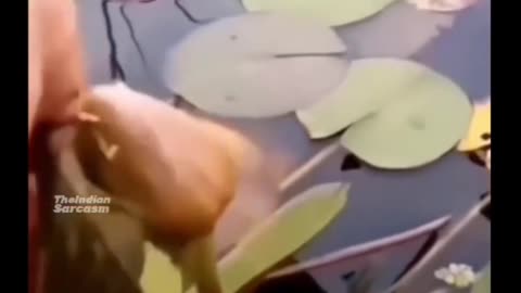 Nossa vida floresce depois de removermos pessoas tóxicas dela