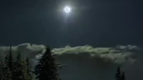 National vibe ❤️