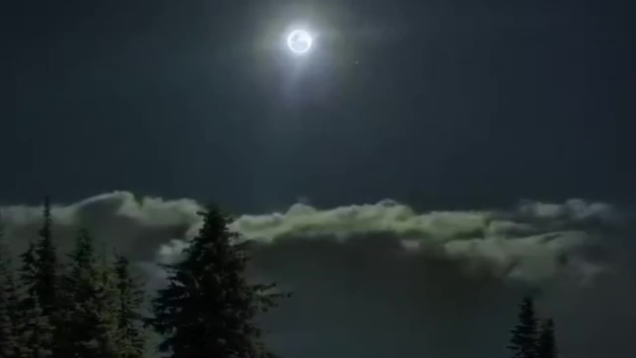 National vibe ❤️