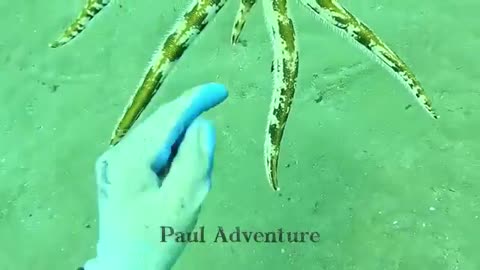 _Part09__Diving_and_Catching_Every_Deep_Sea_Animal!!_-_수중_모험!!_-adventure_-다이빙기술_-어업