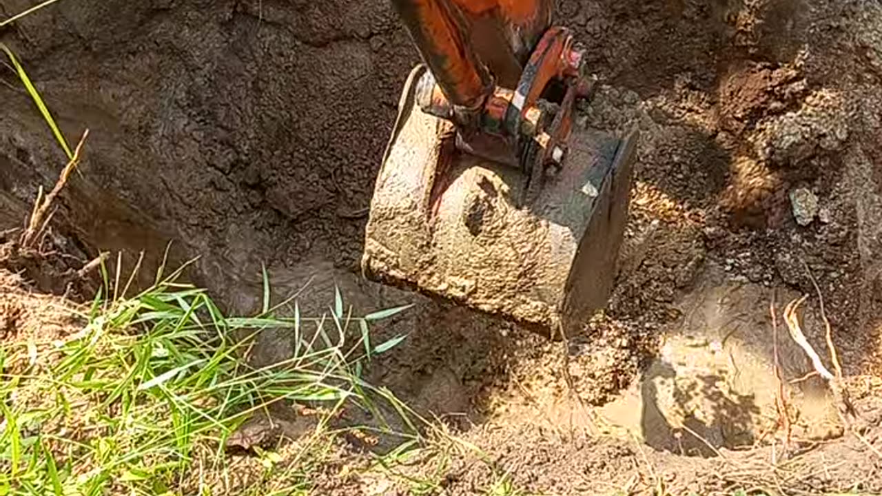 Dig a well