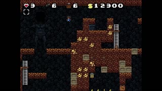 The 3rd Character - Spelunky Pt.38