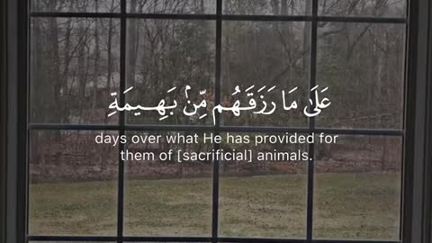 Jazakallah ♥️✨