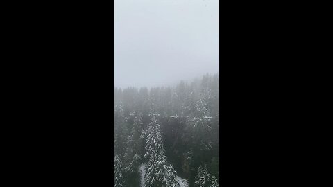 snow fall