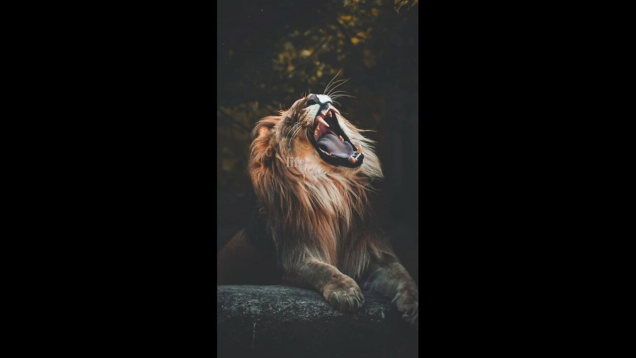 Everything is temporary