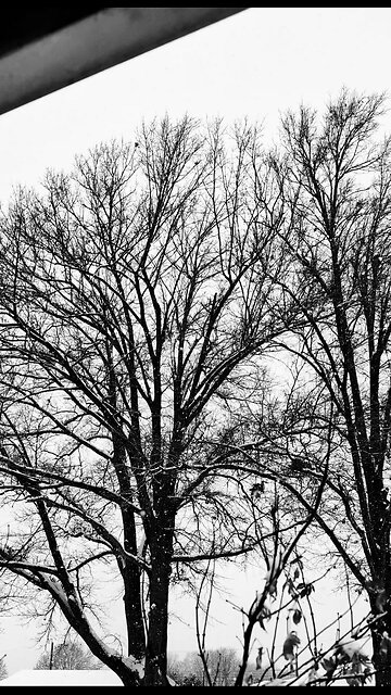 THE STAND MGA FTFO 💯 GO GET TREATED FOR YOUR VENEREAL DISEASE