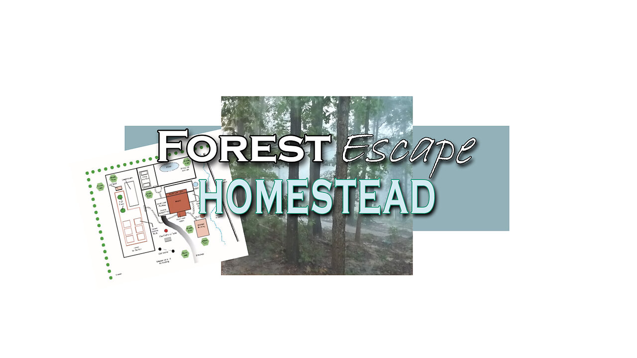 Forest Escape No Water and What that Really Means, Getting Wood, Gunner Plays and Chews a Lot