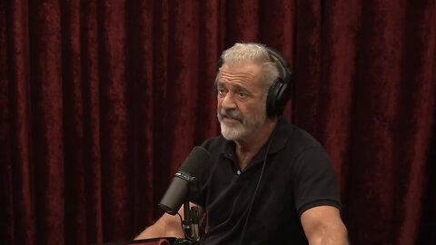 Mel Gibson And Joe Rogan Savage Gavin Newsom And Democrats Over Wildfires