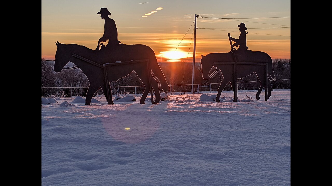 Loos Tales Special Report Feb 25, 2025 details on pending Nebraska Brand Law change.