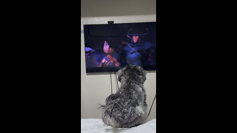TV dogsitter