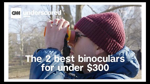 The 2 best binoculars for watching birds, baseball or just about anything