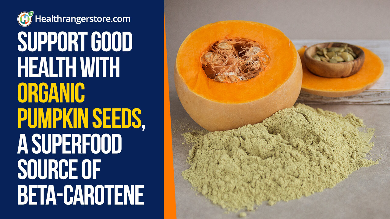 Support good health with Organic Pumpkin Seeds, a superfood source of beta-carotene