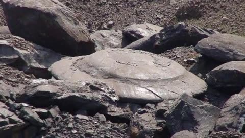 Several Crashed UFO's Found In Russia