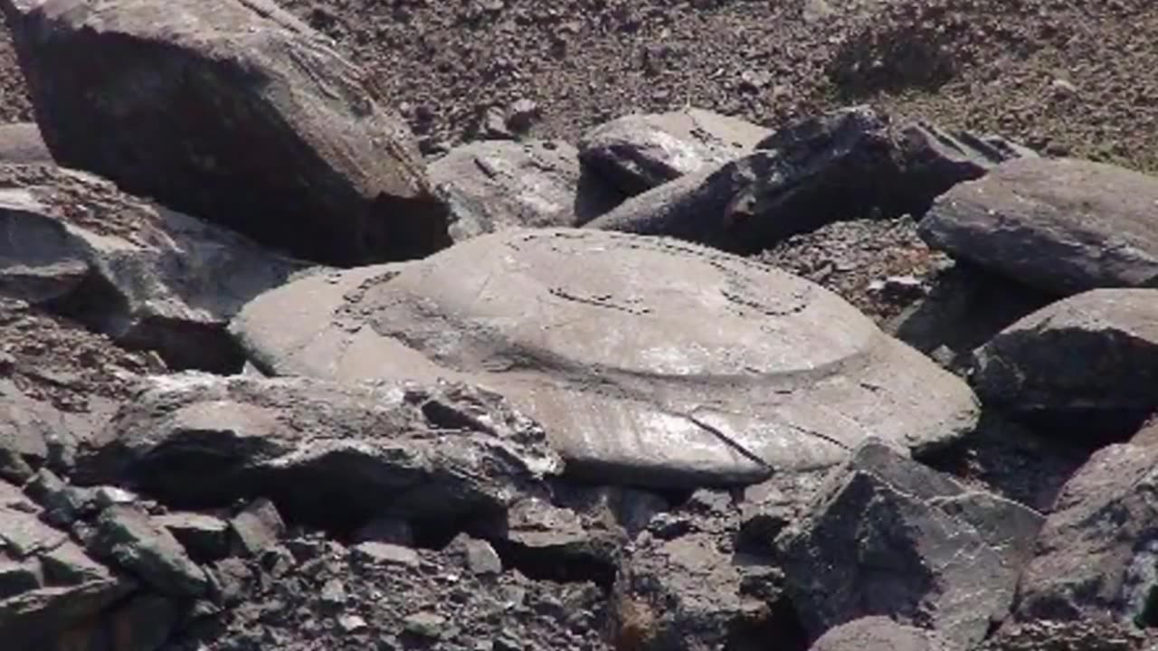 Several Crashed UFO's Found In Russia