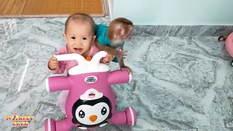 Watch All the Cute And Obedient Videos of Monkey Kaka and baby Diem