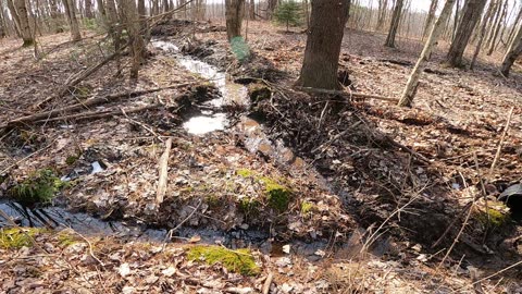 Trenching a Drainage Ditch