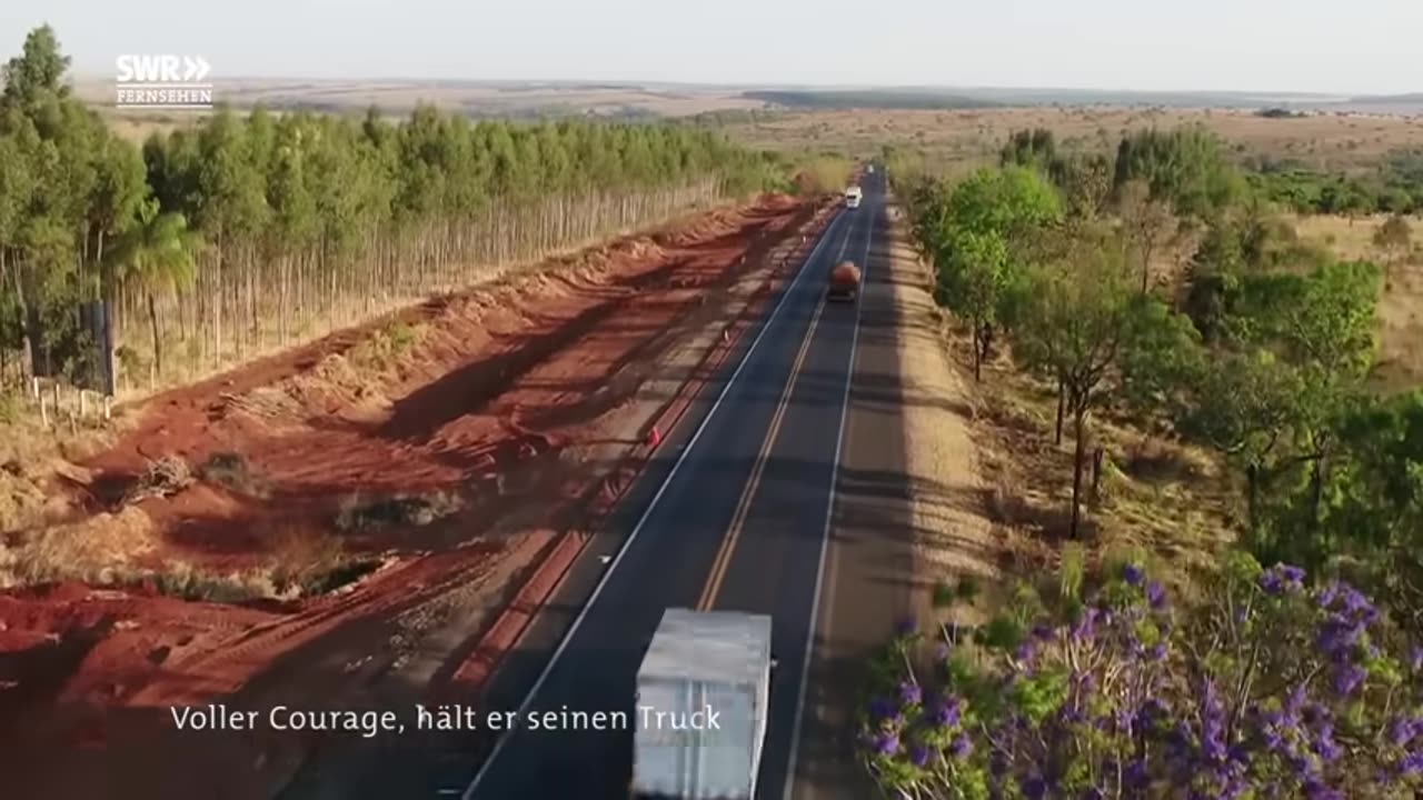 Autos für die Ewigkeit