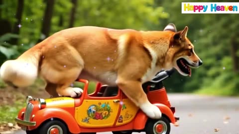 FUNNY DOG DRIVES A KIDS' CAR