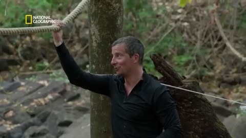 Bear grylls