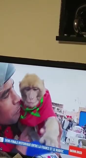 What I think of fake news