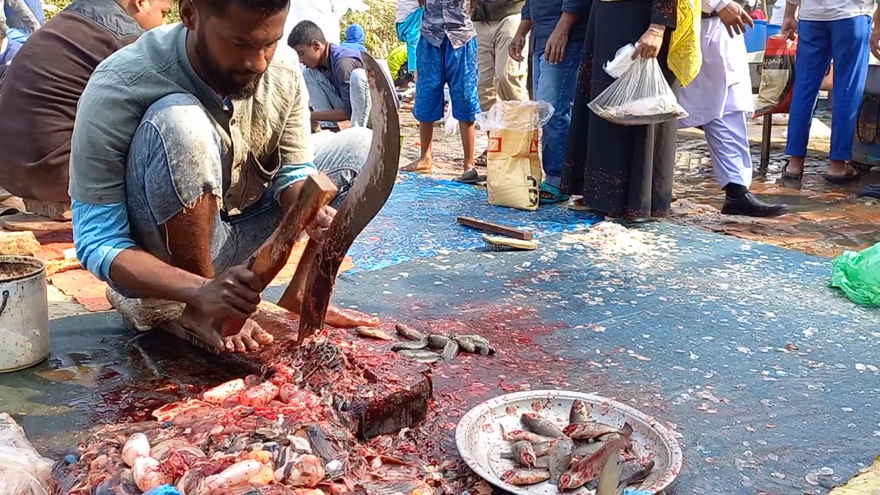 How We Cut Gangetic Koi Fish In Bangladesh | Fish Cutting Video