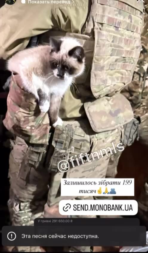 Stroganina for hungry brothers is already on its way