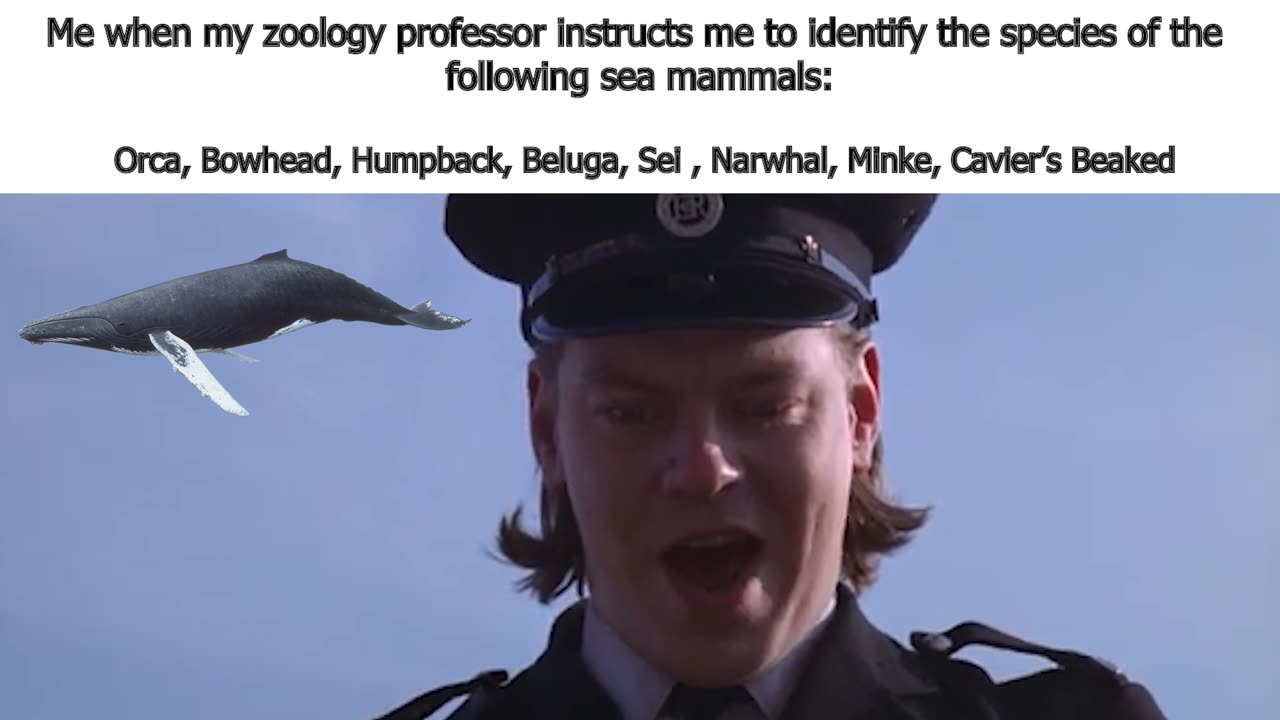 When I Ace My Zoology Exam