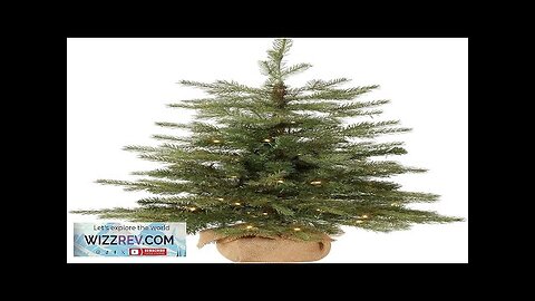 National Tree Company Pre-Lit 'Feel Real' Artificial Mini Christmas Tree Green Nordic Review