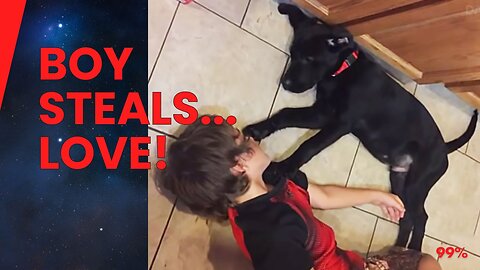 Boy Sneaks Into Neighbor's Garage Every Night... The Reason Will Melt Your Heart!