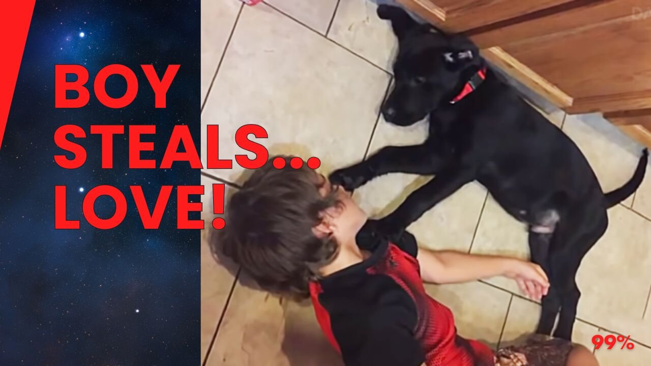Boy Sneaks Into Neighbor's Garage Every Night... The Reason Will Melt Your Heart!
