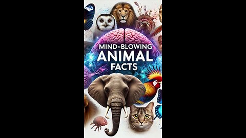 Mind Blowing Animal Facts!