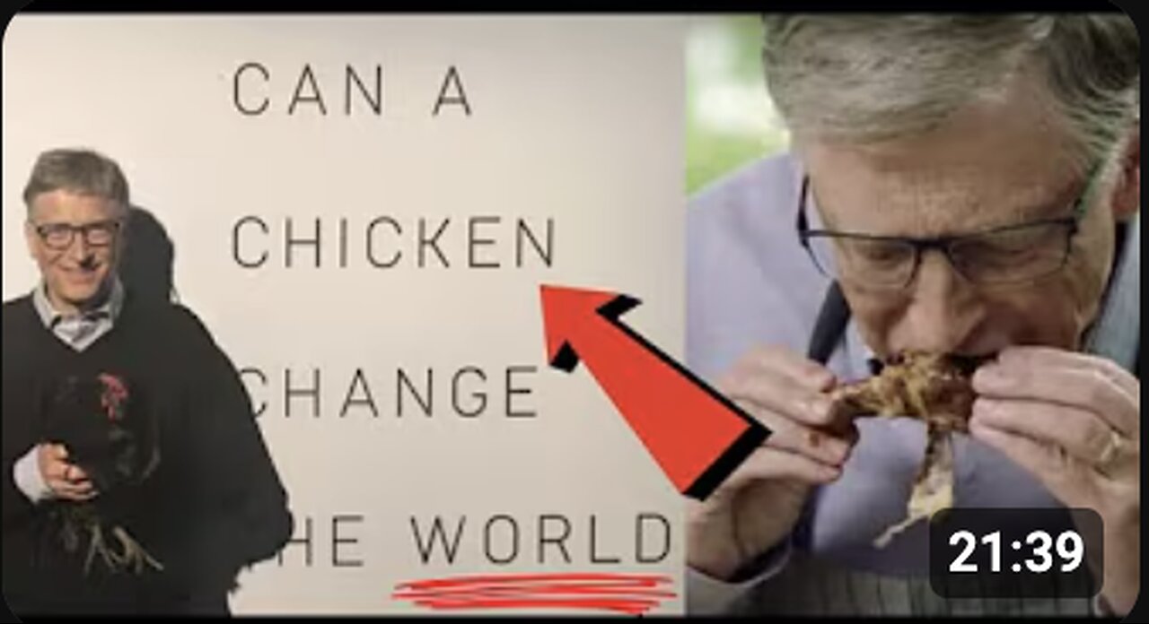 "CAN A CHICKEN CHANGE THE WORLD?" THEY'RE MAKING SURE THAT THERE IS NO ESCAPE FOR ANY OF US!