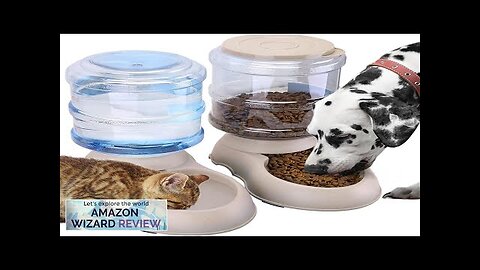 2 Pack Automatic Cat Feeder and Water Dispenser in Set Gravity Food Review