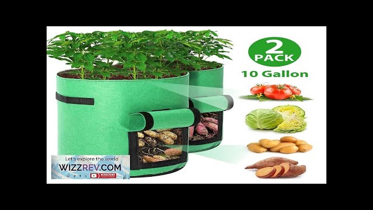 2pcs Grow Bags Tvird Planter Pot Fruit Flower Vegetable Tomato Potato Reusable Review