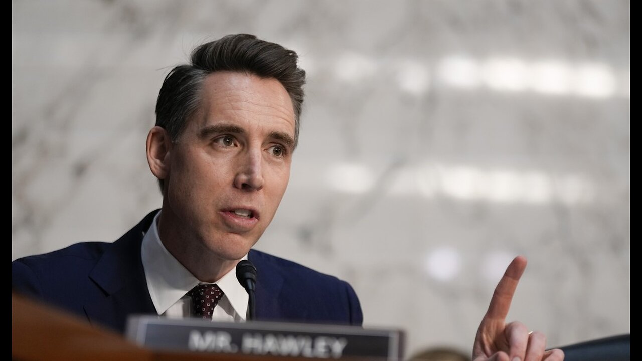 Hawley Comes in Hot, Says Democrats 'Panicking Big Time' As Musk